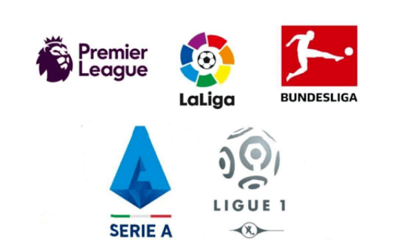 可能有自己 可能有自己